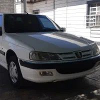 پارس سال تمیز خونگی