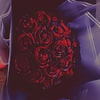 رز جاودان|گل مصنوعی|پاکدشت, پاکدشت (مامازند)|دیوار