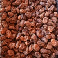 خرما گنطار|خوردنی و آشامیدنی|اهواز, منازل کارون|دیوار