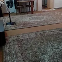اجاره آپارتمان ۸۵ متری ۱ خوابه طبقه ۱ در مسعودیه