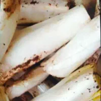 کنگر تازه پاک شده و پاک نشده