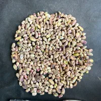 معجون و مغز پسته|خوردنی و آشامیدنی|تهران, شهرک امیرالمومنین|دیوار