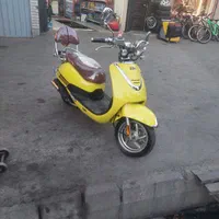 فیدل کلاسیک زردقناری
