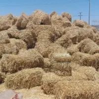 خرید و فروش کاه و یونجه