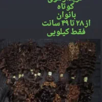 برای اولین بارخدمات کوتاهی مو ۲۶تا ۴۹سانت خام|خدمات آرایشگری و زیبایی|اهواز, زیتون کارمندی|دیوار