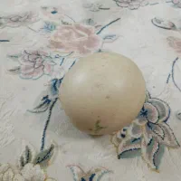 سنگ الماس|جواهرات|مشهد, زیبا شهر|دیوار