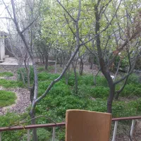 70متر-باغ-ویلای-جنگلی-سهیلیه-زعفرانیه