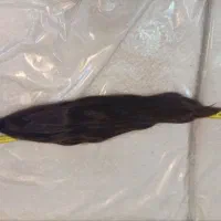 فروش مو طبیعی