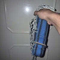زنجیر ضخیم و قلاده برزنتی سگ