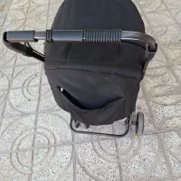 کالسکه|کالسکه و لوازم جانبی|کاشمر, |دیوار