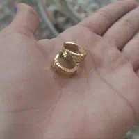 طلا گوشواره و پلاک