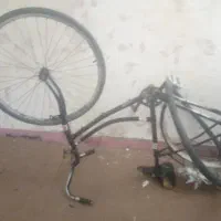 دوچرخه بچه فنیکس