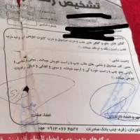 ۴۰۵slx|خودرو سواری و وانت|قهدریجان, |دیوار