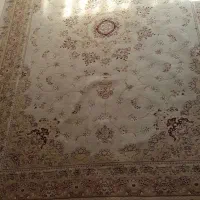 یک عدد فرش ۶ متری|فرش|پردیس, فاز ۳|دیوار