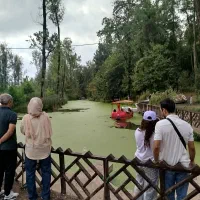تور شادشاد شاد هر هفته داریم