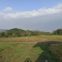 فروش زمین ۲۵۰۰متری|فروش زمین و ملک کلنگی|لاهیجان, آهندان|دیوار