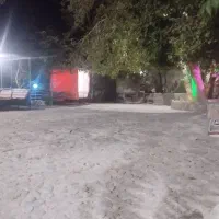استخدام نیرو