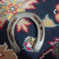 نعل اسب|اسب و تجهیزات اسبسواری|اسلامآباد غرب, |دیوار