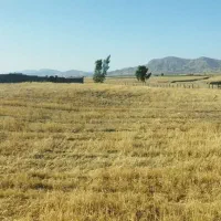 فروش زمین کشاورزی وباغی|فروش دفتر صنعتی، کشاورزی، تجاری|ایلام, |دیوار