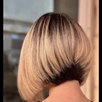 جذب مدل برای کوتاهی