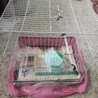 قفس|لوازم جانبی حیوانات|مشهد, تلگرد|دیوار