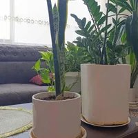 گل طبیعی|گل و گیاه طبیعی|فولادشهر, B6|دیوار