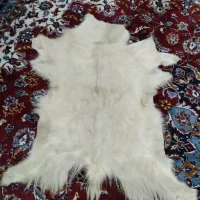 پوست و قلیان