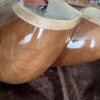تار حرفه ای چوب تمام گردو|سازهای سنتی|تهران, آرژانتین|دیوار