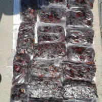 باسلام خدمت عزیزان خرمای درجه یک بسته بندی شده|خوردنی و آشامیدنی|آبپخش, |دیوار