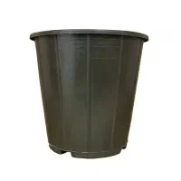 گلدان آ ل و ئه‌ و ر ا