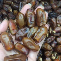 فروش عمده خرمای استعمران درجه یک سرکه