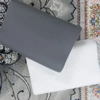 دو عدد بالشت طبی