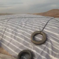 کاه گندم|خدمات باغبانی و درختکاری|ماهیدشت, |دیوار