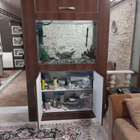 آکواریم کمدی ، با تجهیزات کامل|ماهی|قم, صفاشهر|دیوار