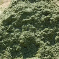 یونجه اول سال