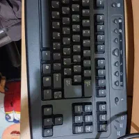 نمایشگر الجی|تلویزیون و پروژکتور|رشت, جانبازان|دیوار