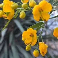 ثبت خاطراتتان با ما عکاسی با قیمت مناسب