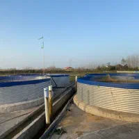 فروش پرورش ماهی ۲ هکتاری تمام‌در طرح هادی|فروش دفتر صنعتی، کشاورزی، تجاری|کیاشهر, |دیوار