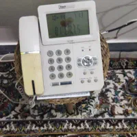02146859986
