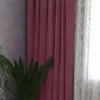 پرده