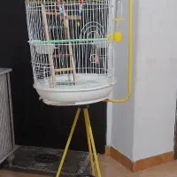 قفس پایه دار باتمام وسایل