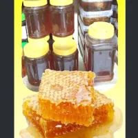 عسل صددرصدطبیعی و درمانی با قیمت مناسب