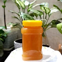 عسلِ کُنار اصل