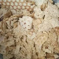 نان خشک کیلویی ۱۲تومن میخرم