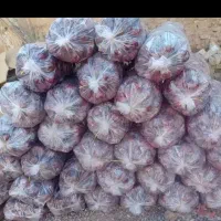 لبوی اصفهان