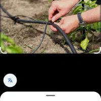 انجام کلیه کارهای قطره ای درخت و گل و گیاه