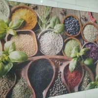 قالیچه اشپزخانه|فرش|مشهد, توس (بلوار توس)|دیوار