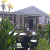 ۲۲۵ متر ویلایی