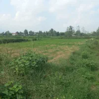 زمین-کشاورزی