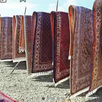 قالیشویی و مبل شویی اسپادانا مبارکه.|خدمات نظافت|مبارکه, |دیوار